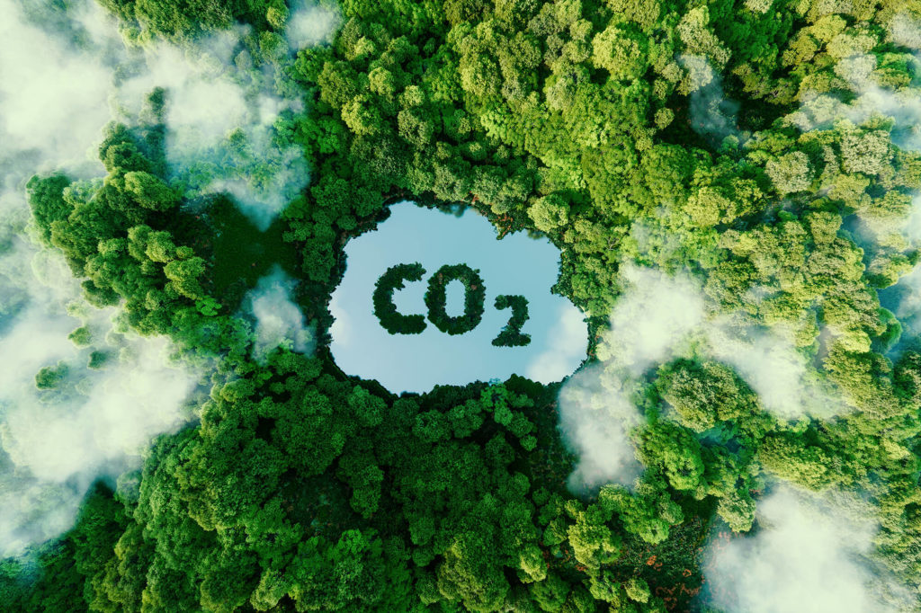 What is the Difference Between Net Zero and Carbon Neutral?